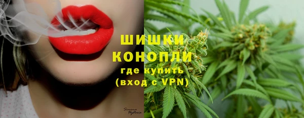шишки Грязи