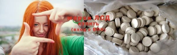 индика Белокуриха