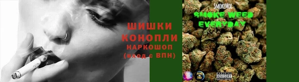 PSILOCYBIN Беломорск