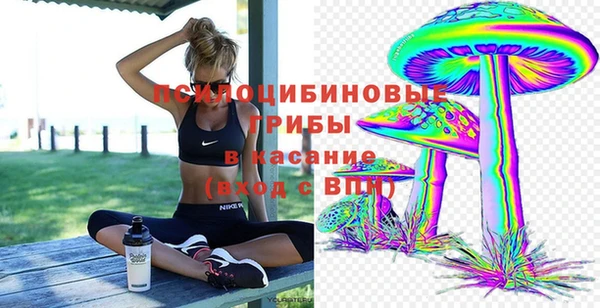 индика Белокуриха