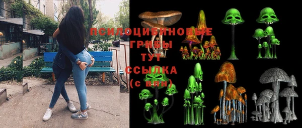 PSILOCYBIN Беломорск