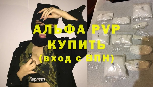 PSILOCYBIN Беломорск