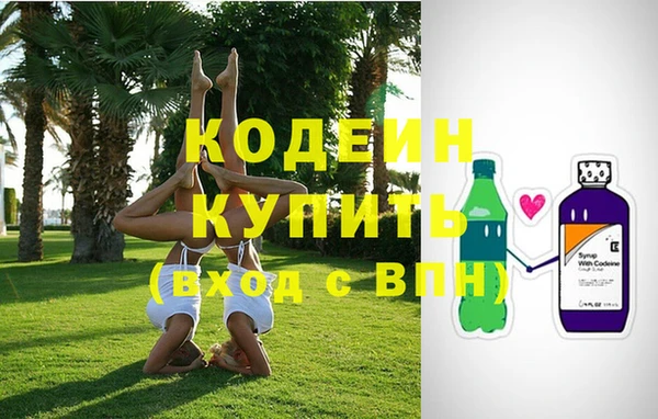 индика Белокуриха