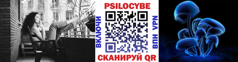 где можно купить   Кодинск  Галлюциногенные грибы Cubensis 